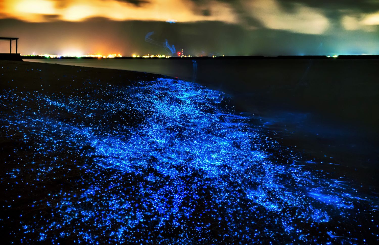 7 Must Visit Bioluminiscent Destinations