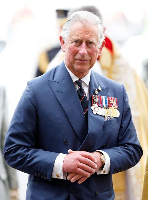 Prince Harry Looks Like Carbon Copy Of Young King Charles III