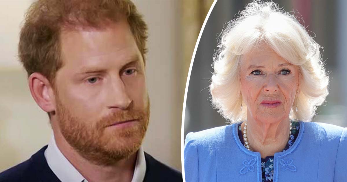 Harry calls Camilla “dangerous” after claiming she leaked royal stories to the press