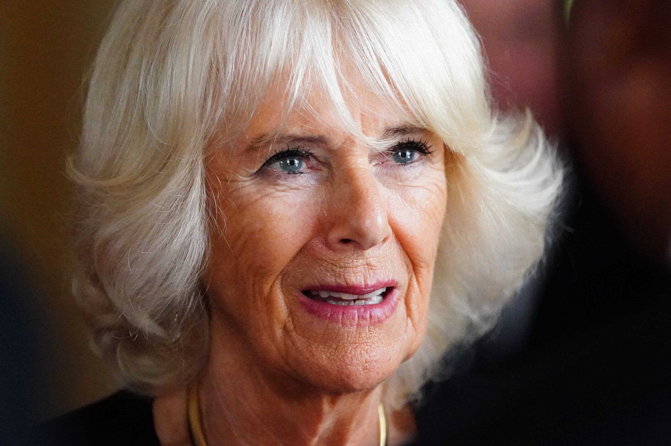 Camilla’s decision for her grandchildren might ’cause anger’, warns royal expert