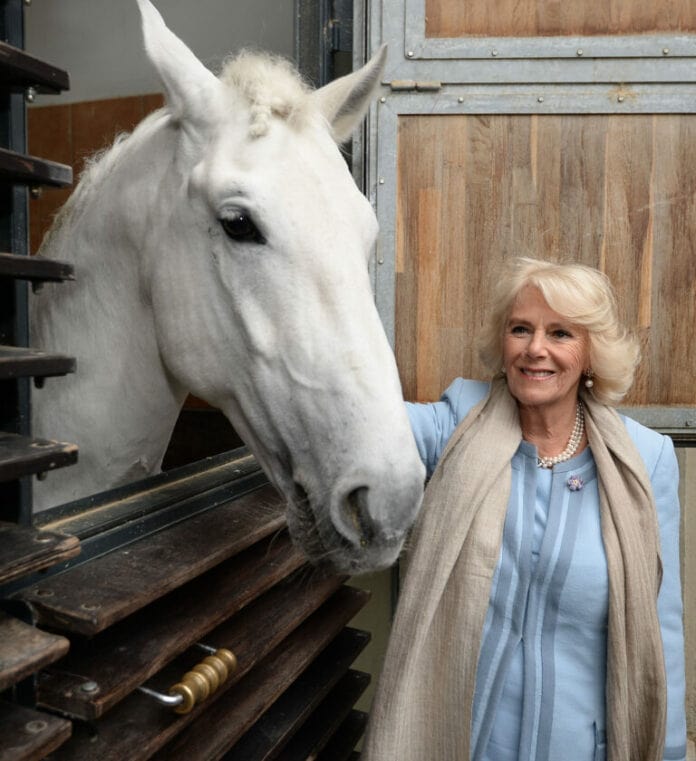 Queen Consort Camilla says she’s ‘too old’ to go horse riding anymore