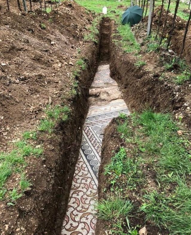 Under an Italian vineyard, an ancient Roman mosaic floor was discovered.