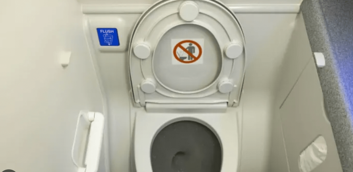 Whenever you flush a toilet on an airplane, everything that happens