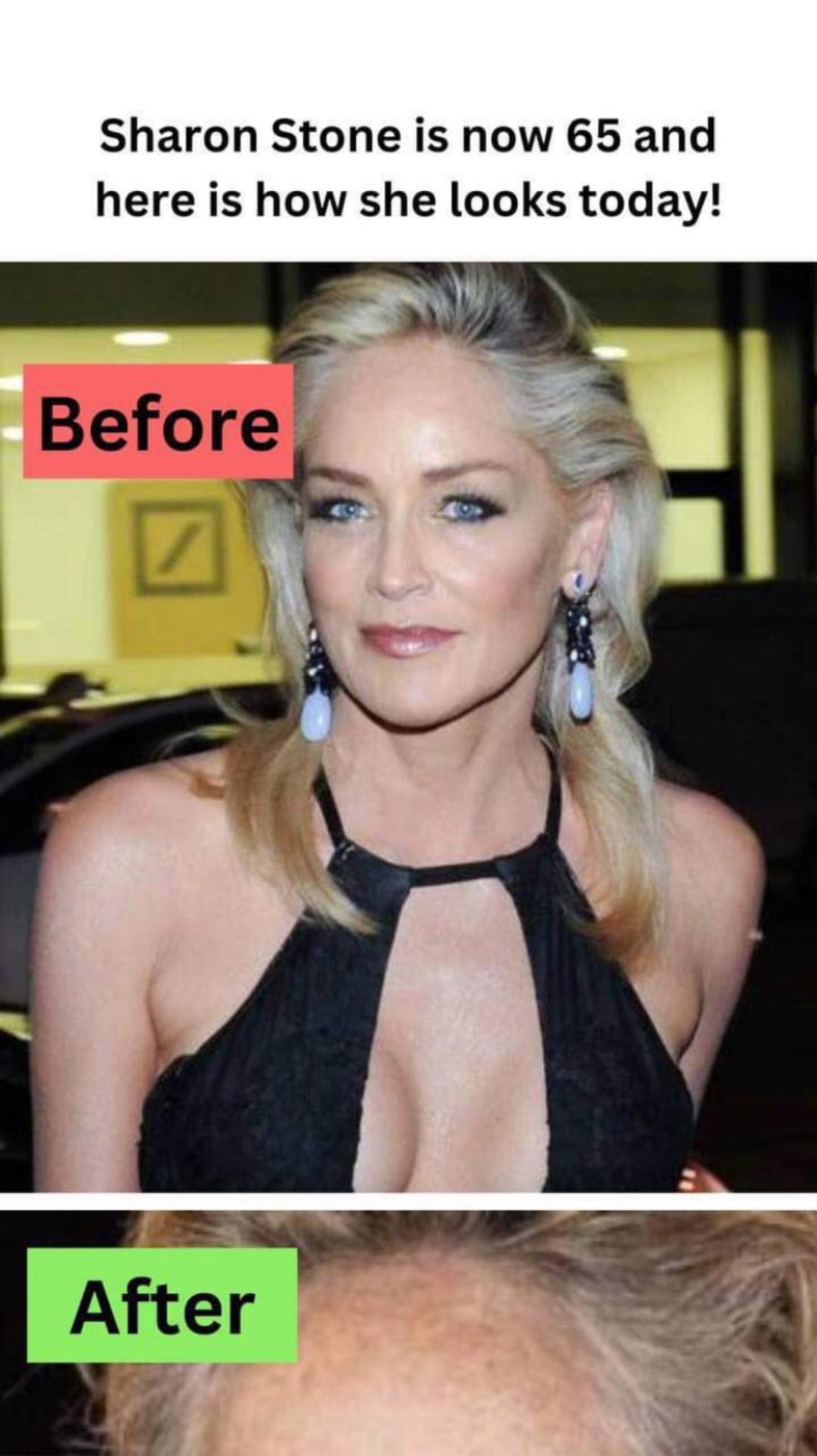 Sharon Stone is now 65 and here is how she looks today!