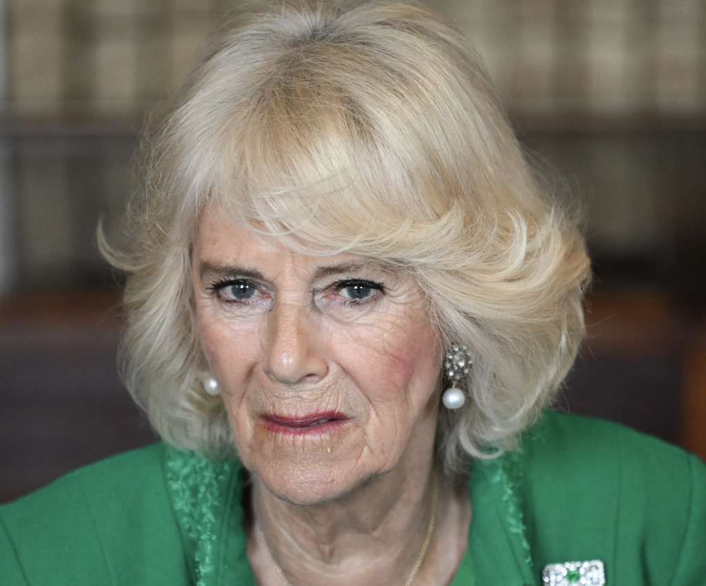 Sister Reveals Rare Insights into King Charles and Queen Camilla’s Marriage