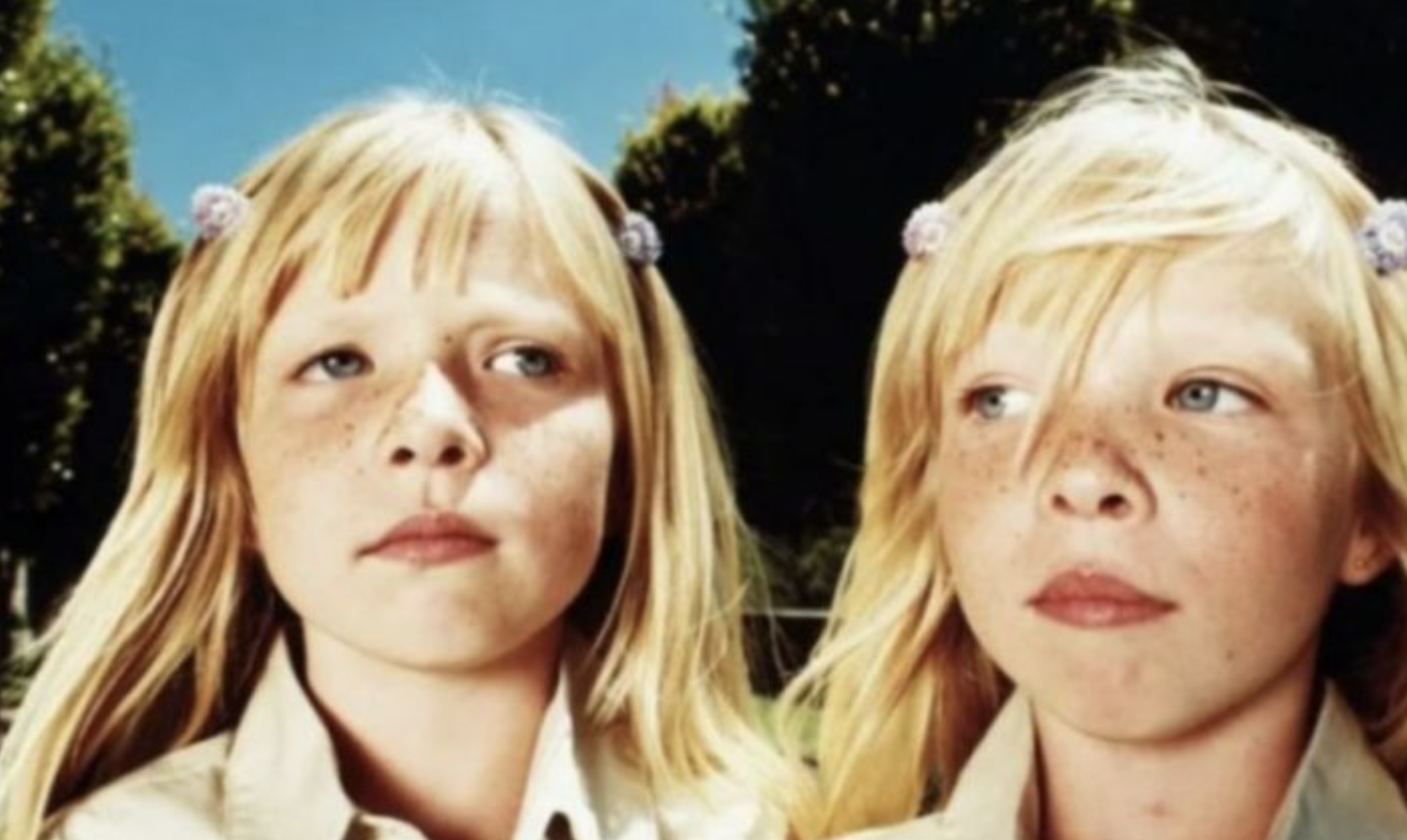 After more than 15 years of living apart, these twins unexpectedly reunited and here is what they look like today…