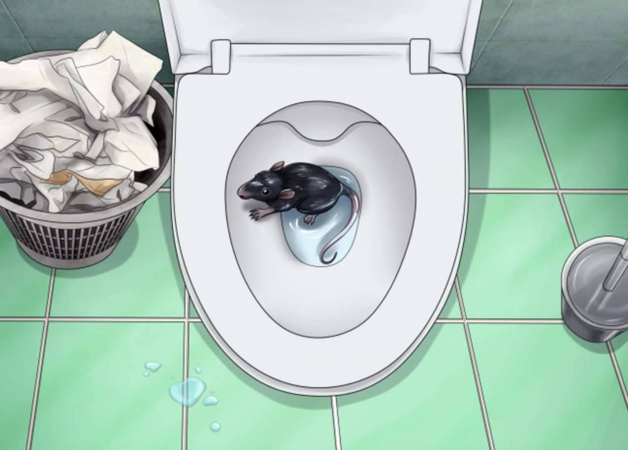 7 Creatures That Can Crawl Through Your Toilet and How to Prevent Them