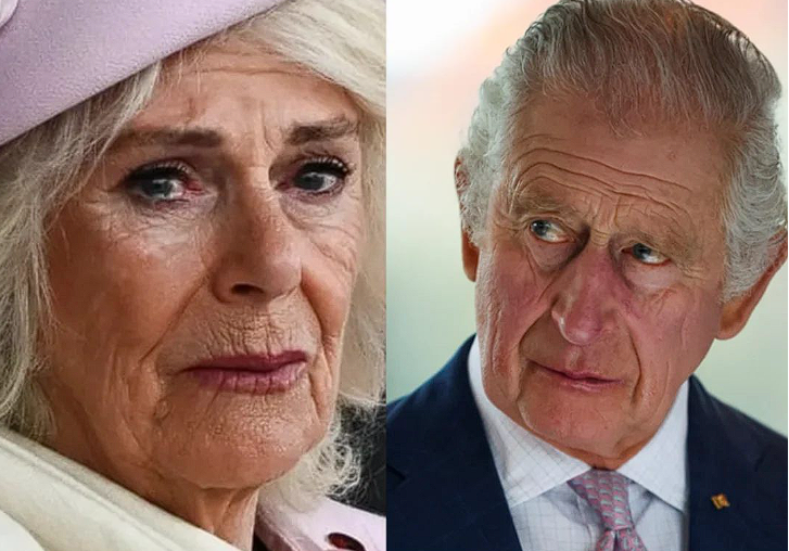 Lip reader discloses what ‘annoyed’ King Charles said as Queen Camilla visibly struggled during chaotic public appearance