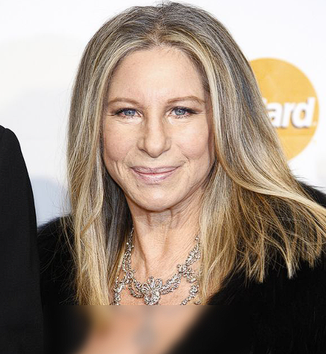 Barbra Streisand: A Powerful Voice for Democracy